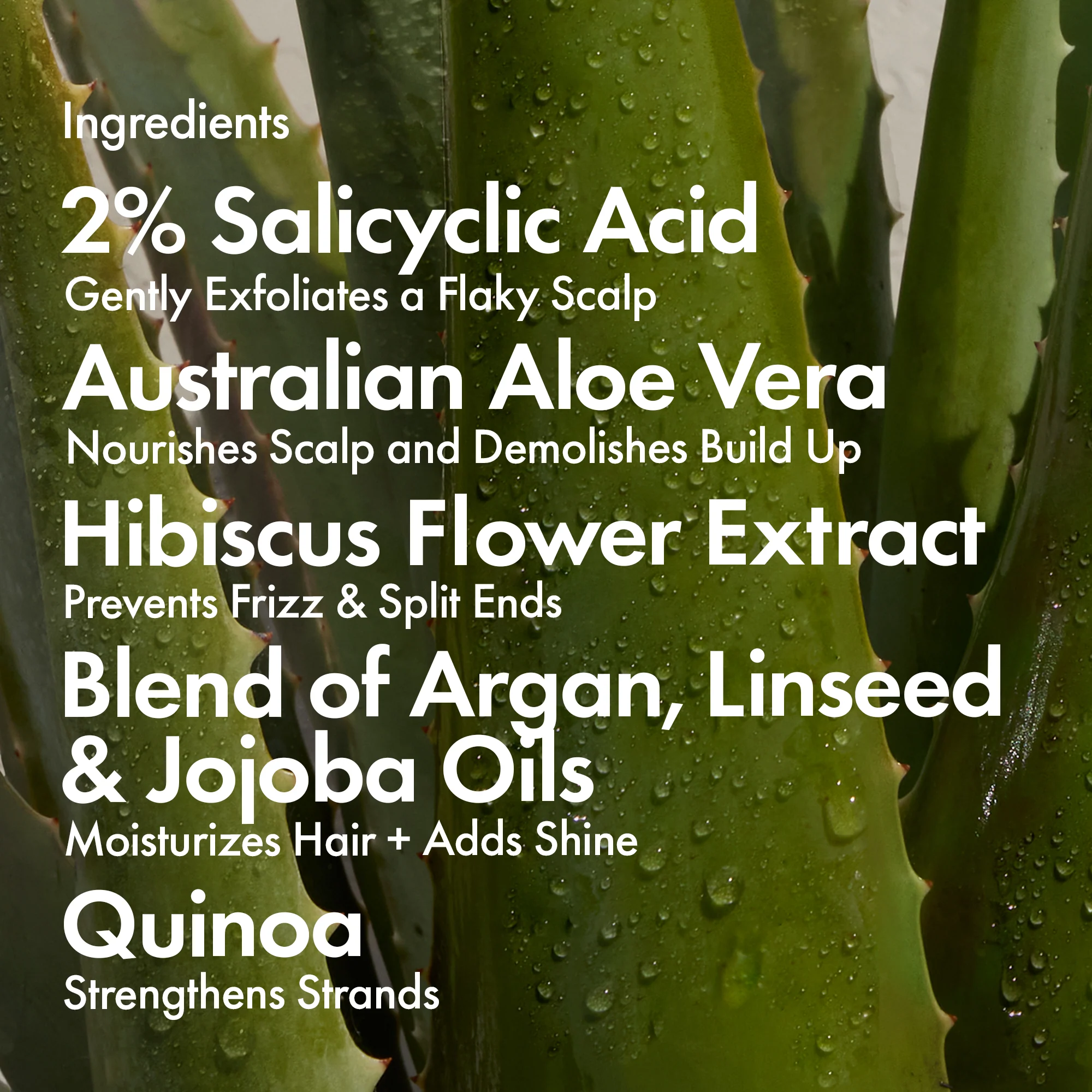 DANDRUFF SHAMPOO - Image 14